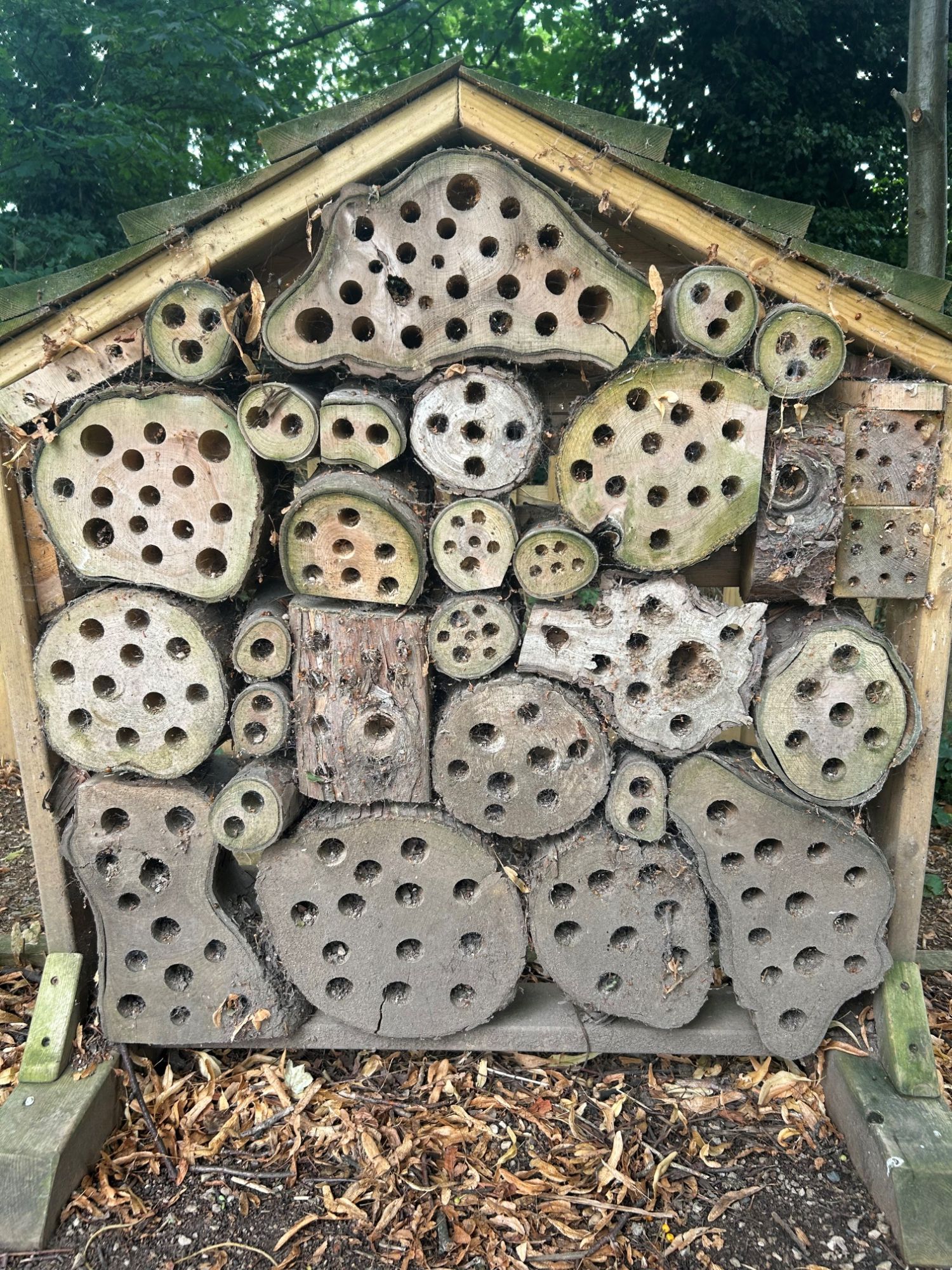 A photo of our bug hotel