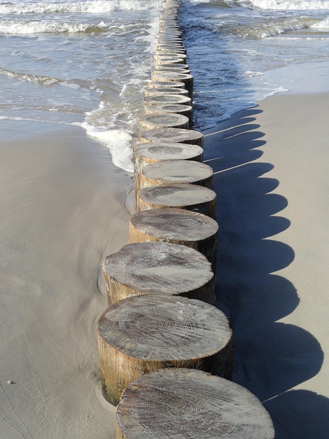 log path