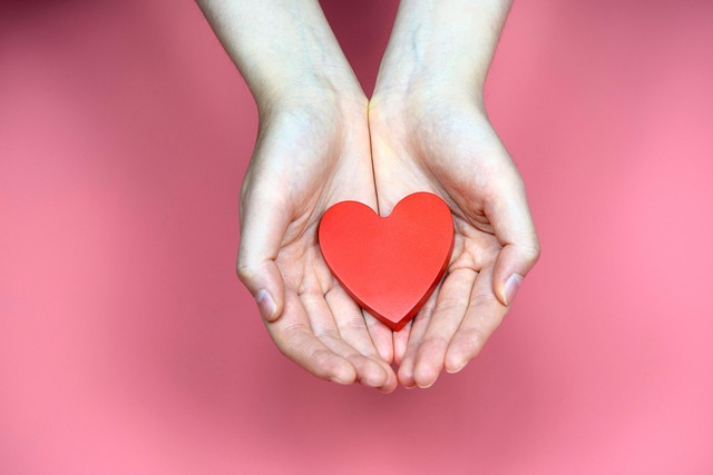 hands cupped holding a red heart