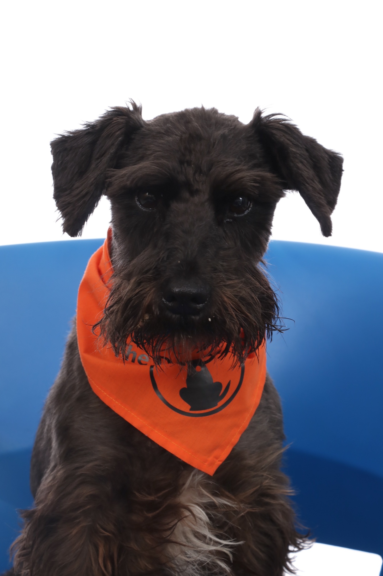 Photo of Raffie