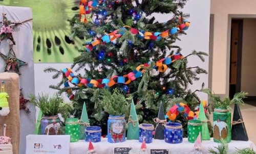 Candles for sale in front of a Christmas tree